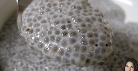 tutti i benefici dei semi di lino